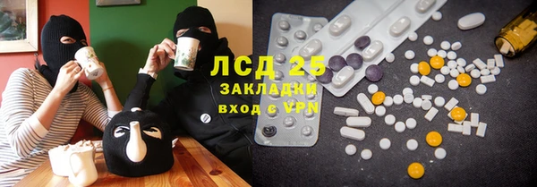 индика Белоозёрский