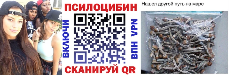 Псилоцибиновые грибы мухоморы  Богданович 