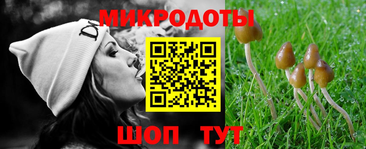 Псилоцибиновые грибы Magic Shrooms  Вход с VPN  Псилоцибиновые грибы ЛСД  Богданович 
