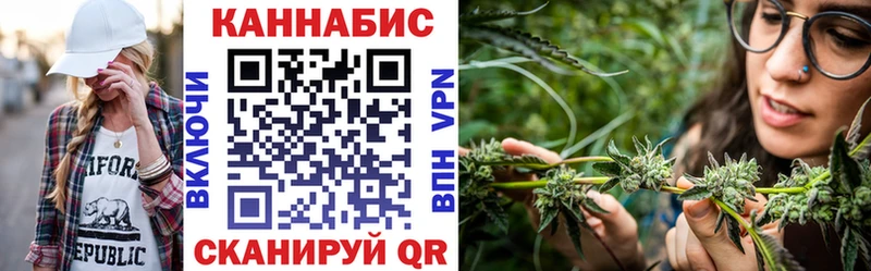 дарк нет Telegram Богданович Бошки марихуана гибрид купить закладку